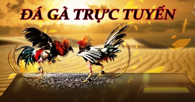 Khám phá kèo nhà cái 1 hôm nay và nhận ngay ưu đãi từ kèo nhà cái 1